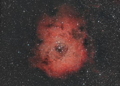 Rosette Nebula