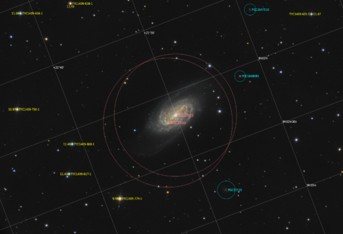 NGC 2903 з анотацією