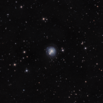 NGC 3344 (інші назви — UGC 5840) — спіральна галактика у сузір’ї Малий Лев.