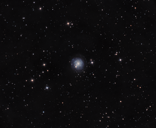 NGC 3344